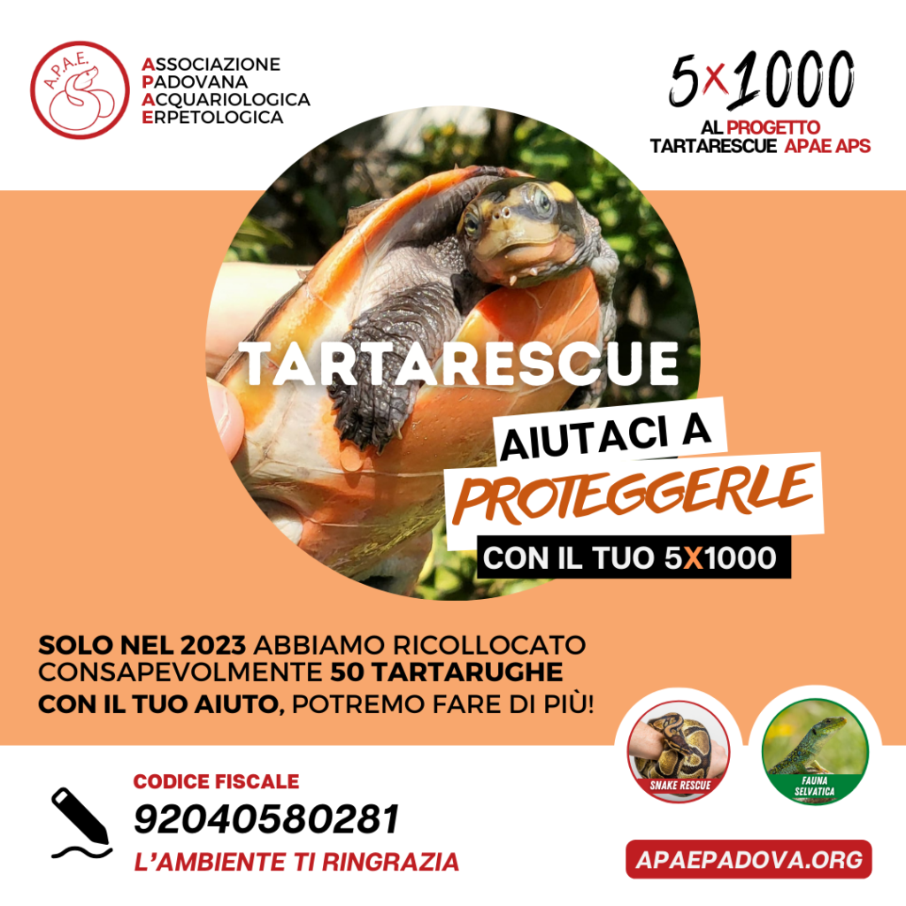 donazioni tartarescue