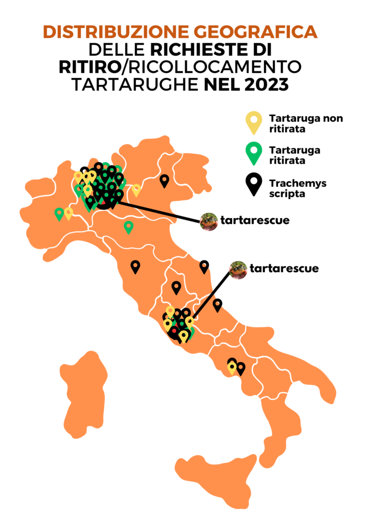 centri di abbandono tartarughe in italia