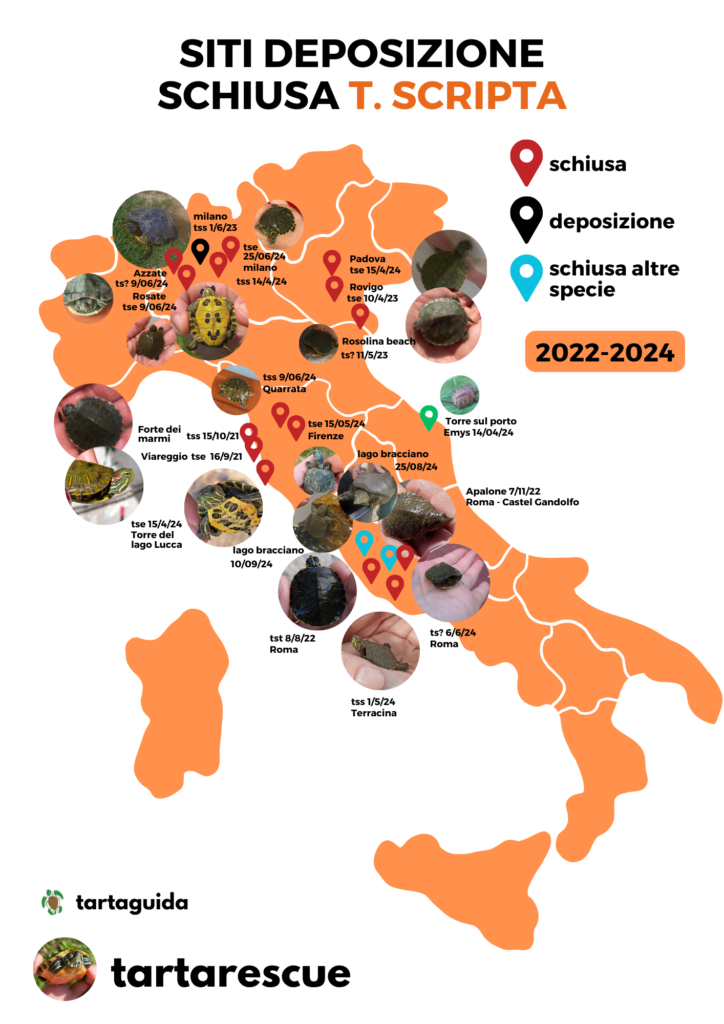 siti di deposizione schiusa trachemys scripta in italia